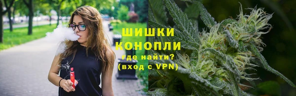 гидропоника Бронницы