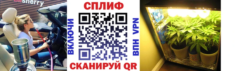 даркнет сайт  Ногинск  Бошки марихуана индика 